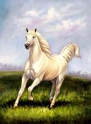 unknow artist Horses 021 oil painting on canvas